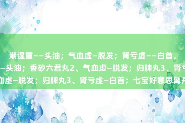 潮湿重——头油；气血虚—脱发；肾亏虚——白首，记取3颗药丸1、潮湿重—头油；香砂六君丸2、气血虚—脱发；归脾丸3、肾亏虚—白首；七宝好意思髯丹
