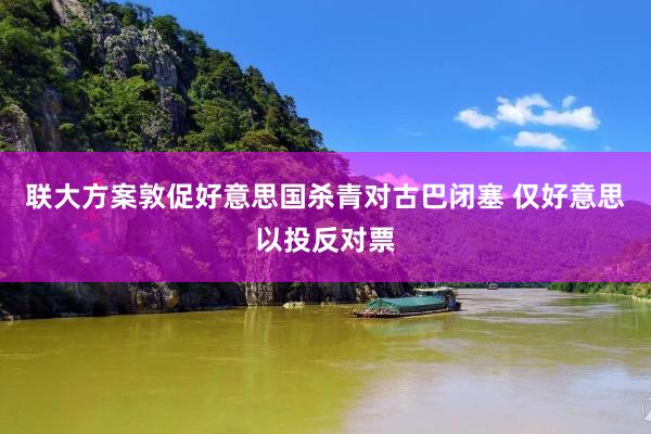联大方案敦促好意思国杀青对古巴闭塞 仅好意思以投反对票