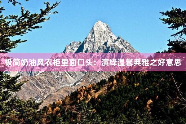 极简奶油风衣柜里面口头：演绎温馨典雅之好意思