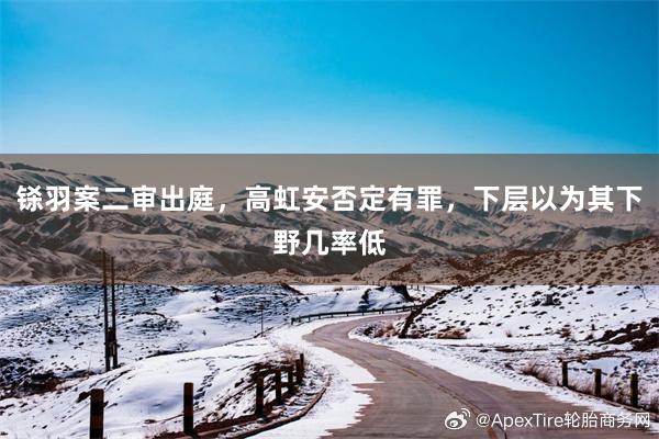 铩羽案二审出庭，高虹安否定有罪，下层以为其下野几率低