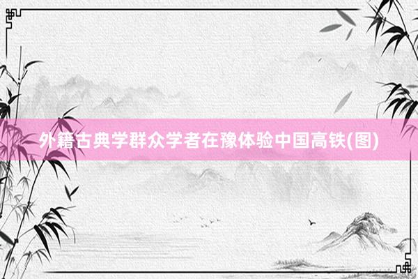 外籍古典学群众学者在豫体验中国高铁(图)