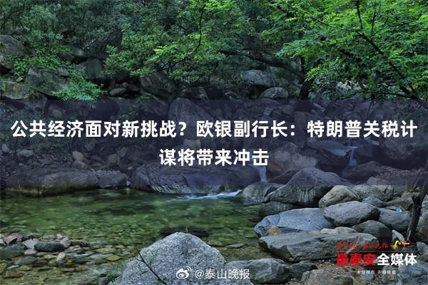 公共经济面对新挑战？欧银副行长：特朗普关税计谋将带来冲击