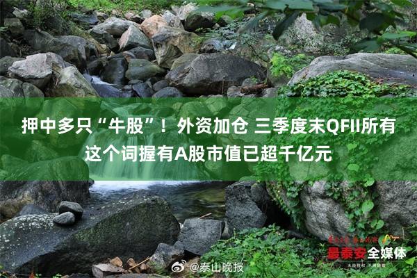 押中多只“牛股”！外资加仓 三季度末QFII所有这个词握有A股市值已超千亿元