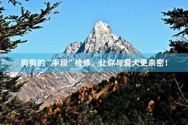 狗狗的“手段”检修，让你与爱犬更亲密！