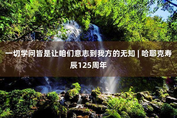 一切学问皆是让咱们意志到我方的无知 | 哈耶克寿辰125周年