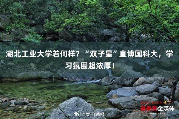 湖北工业大学若何样？“双子星”直博国科大，学习氛围超浓厚！