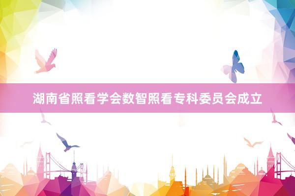 湖南省照看学会数智照看专科委员会成立