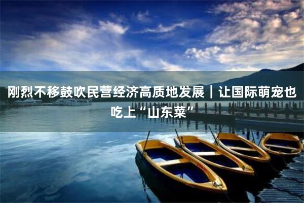 刚烈不移鼓吹民营经济高质地发展｜让国际萌宠也吃上“山东菜”