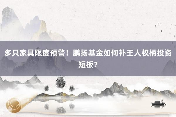 多只家具限度预警！鹏扬基金如何补王人权柄投资短板？