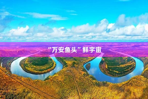 “万安鱼头”鲜宇宙