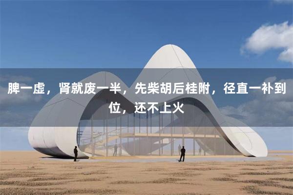 脾一虚,肾就废一半,先柴胡后桂附,径直一补到位,还不上火